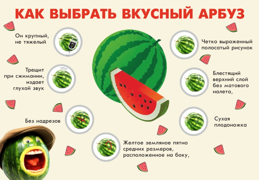 วิธีการเลือกแตงโมอร่อย
