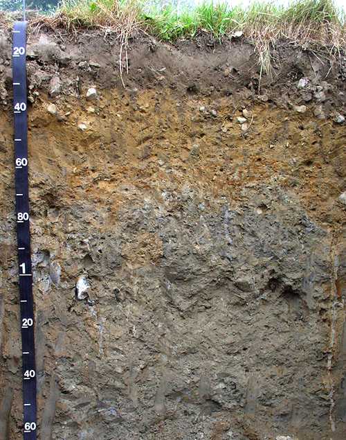 unsur-unsur berbeza dalam komposisi tanah