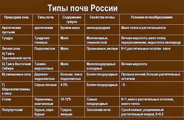 tipurile de soluri din Rusia