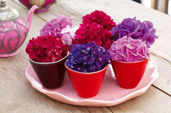 bunga hydrangeas di atas meja