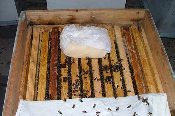 Превентивни радови у пчеларству
