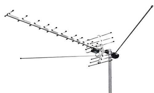 lokus antena