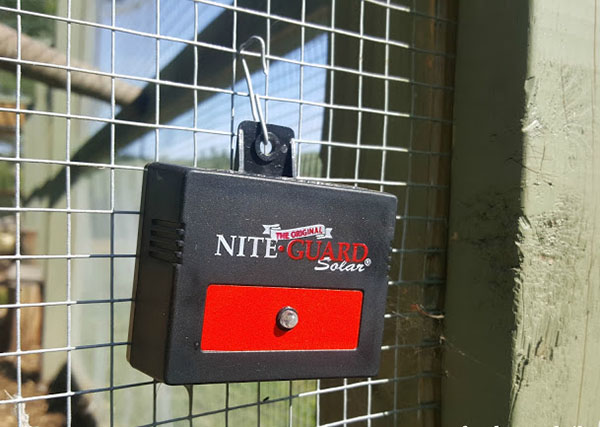 nite guard solar predator lights