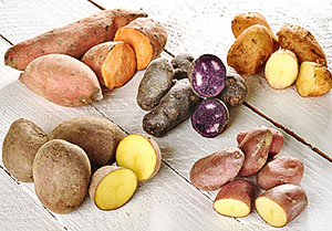 Flerfarget poteter