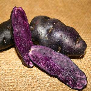 Tubers av fargede poteter