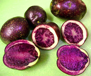 Originalna barva krompirjevih gomoljev