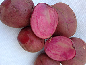 Fargede poteter med rosa kjøtt