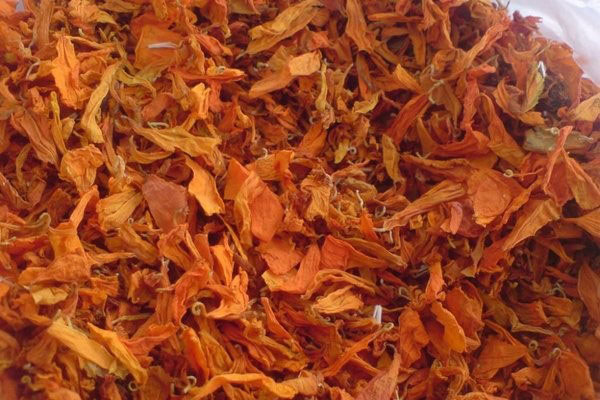 bunga marigold digunakan dalam perubatan rakyat