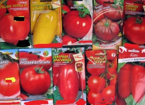 Sementes de tomate