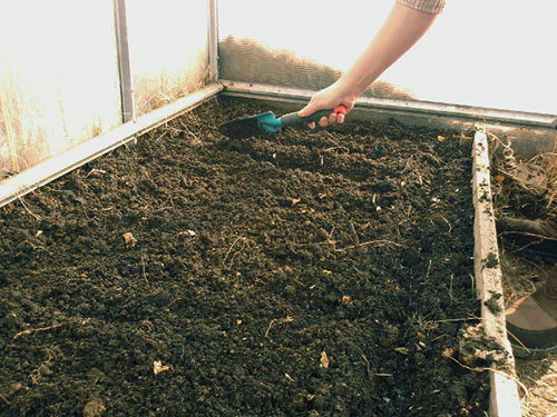 Preparação de canteiros para semear rabanete