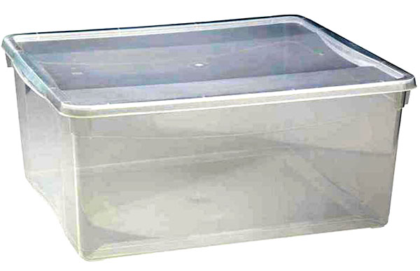 container pentru răsaduri