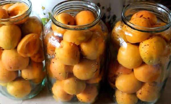 плотно уложить абрикосы